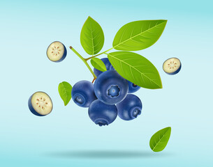 Blueberries fruit vector illustration with half pieces of berries on light blue background