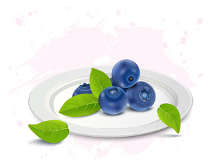 A plate of Blueberries fruit vector illustration isolated on white background