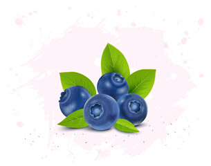 Set of few blueberries fruit vector illustration with green leaves - obrazy, fototapety, plakaty