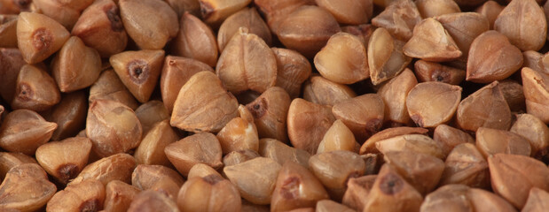 Close-up of buckwheat groats as background.