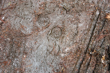 土・泥・大地・地面・足跡・痕跡・どろどろ・滑る・雨上がり・ぬかるみ・アップ