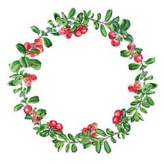 Watercolor cowberry wreath. Isolated on white background. Decorative elements for cards, design invitations. Hand painted round frame.