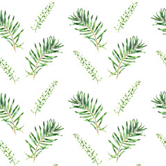 Watercolor floral seamless pattern. Isolated  illustrations on white background. Hand drawn painting