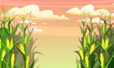 Corn grows in field. Frame with place for text. Harvest agricultural plant. Food product. Farmer farm illustration. Rural summer field landscape. Vegetable garden cultivation. Vector
