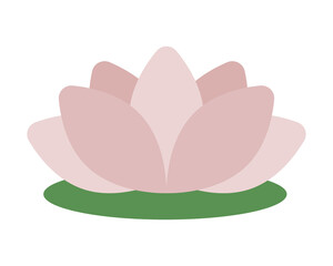 japanese culture pink lotus