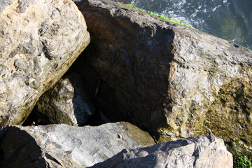 Large stones on the seashore. Rocky shore.