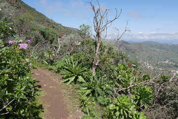 Wanderweg in Berglandschaft auf Gran Canaria