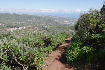 Wanderweg in Berglandschaft auf Gran Canaria