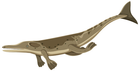 A dinosaur metriorhynchus on white background