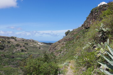 Fototapeta na wymiar Natur und Landschaft der Kanaren auf Gran Canaria