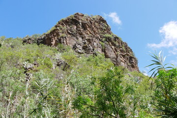 Felsen und Grüne Landschaft auf Gran Canaria