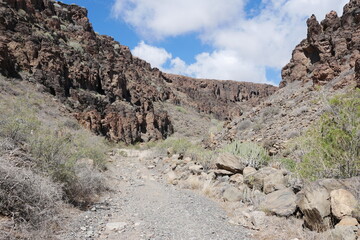 Trockene Landschaft in Halbwüste auf Gran Canaria