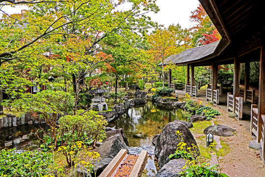 Decorative Japanese style garden