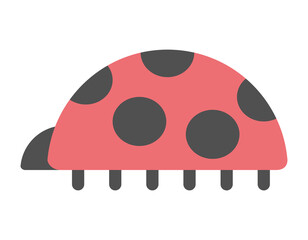 cute ladybug insect