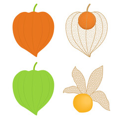 鬼灯のイラスト