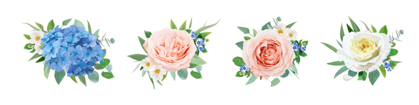 Vector flower bouquets set. Editable watercolor style blush peach, yellow garden rose, blue hydrangea flowers, green eucalyptus leaves illustration. Elegant wedding invite card decorative elements set
