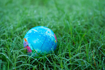 Globe on leaves grass background. earth on growth tree plant. concept for arbor day, card for world earth day, conservation,care eco protection, environment, biology clean and save life nature.