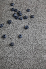 Blueberries on gray concrete background. Blueberry border design. Fresh picked bilberries lose up. Copyspace. Top view or flat lay