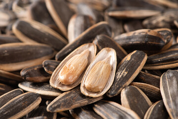 close up of roasted peeled sunflower seeds