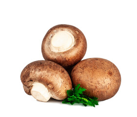 Mushrooms isolated on a white background