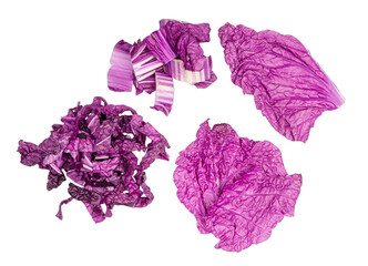 Purple cabbage isolated on a white background