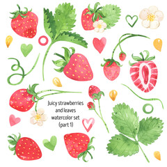 Juicy strawberry watercolor elements set. Bright red berries, green leaves, strawberry flowers. Summer botanical illustration. For packages, cards, logo. Summer sweet berries. Isolated on white.