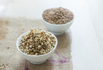 Bowl of sprouted green moong or green gram along with raw moong grains. Sprouted legume is the most healthiest food and full of vitamins.