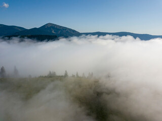 Morning fog in the Ukrainian Carpathians. Aerial drone view.