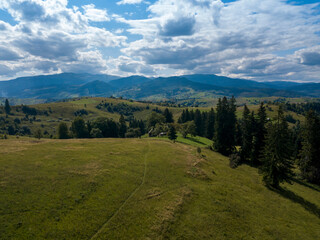 Green mountains of Ukrainian Carpathians in summer. Coniferous trees on the slopes. Aerial drone view.