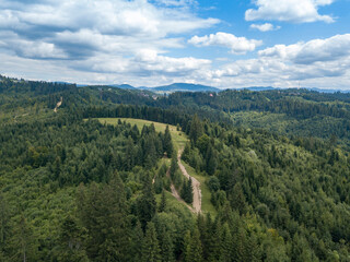 Green mountains of Ukrainian Carpathians in summer. Coniferous trees on the slopes. Aerial drone view.