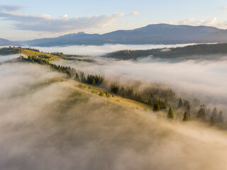 Sunny morning in the foggy Carpathians. A thick layer of fog covers the mountains. Aerial drone view.