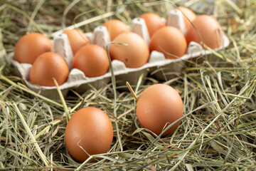 Chicken eggs in a tray and in hay.