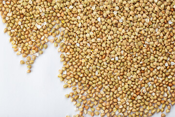 Scattered buckwheat background.  Buckwheat texture.