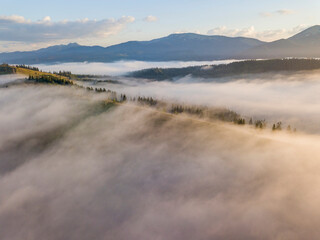 Sunny morning in the foggy Carpathians. A thick layer of fog covers the mountains. Aerial drone view.