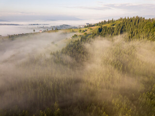 Fototapeta premium Morning fog in the Ukrainian Carpathians. Aerial drone view.