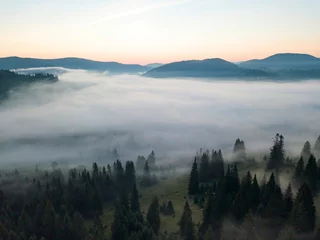 Papier Peint photo Lavable Forêt dans le brouillard Morning fog in the Ukrainian Carpathians. Aerial drone view.