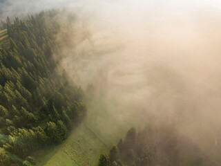 Fog envelops the mountain forest. The rays of the rising sun break through the fog. Aerial drone view.