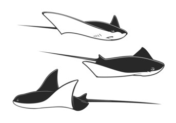 Manta ray, stingray and cramp fish underwater animals. Isolated ocean or sea vector fish, black and white rays with long stingers and tails, tropical marine water wildlife, zoo aquarium - obrazy, fototapety, plakaty