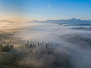 Morning fog in the Ukrainian Carpathians. Aerial drone view.