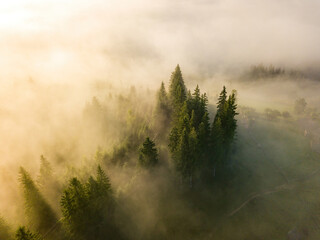 Foggy summer morning in the Ukrainian Carpathians. Aerial drone view.