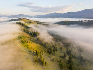 Fog envelops the mountain forest. The rays of the rising sun break through the fog. Aerial drone view.