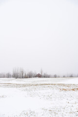 rural landscape with snow and fields in fog
