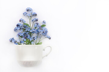 creative layout of blue forget-me-nots. flowers pour out of a white cup on a white background. 