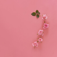 Flower Garland of Pink Roses on Pink Background. Romantic spring minimal flat lay concept