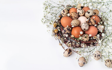Easter eggs in a nest and white flowering branches on a white background. Happy Easter holiday, top view