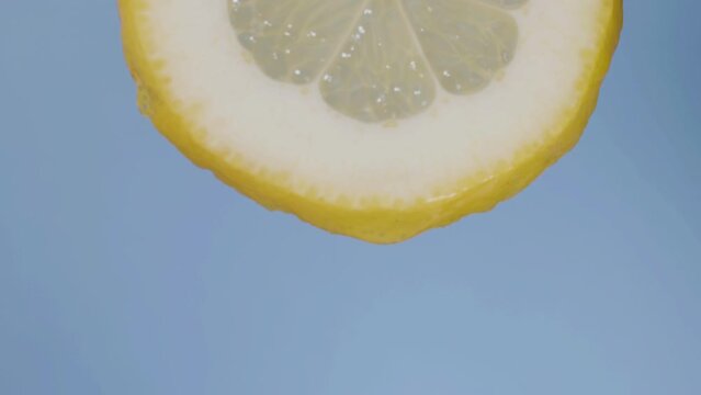 Closeup shot of hand lifting up lemon slice with water dropping from the fruit piece. Vertical motion. Isolated blue background. Macro static shot. Food, cooking, healthy eating