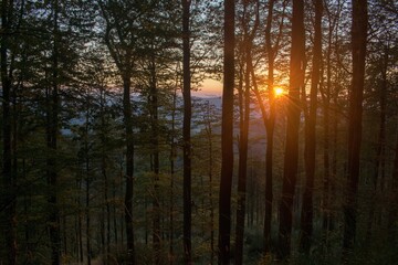 A sunset as seen through the woods at the foothill of Lysa Hora, the highest peak of the Beskid Mountains in Czechia