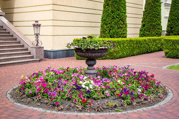 Stone fountain flower bed in backyard with blooming petunias with brick tile pavement nearby of building and iron lantern street lighting with thuja hedge of bushes and molded thuja trees, nobody.