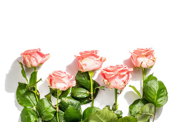 Bouquet of fresh delicate roses isolated on white background. Romantic gift concept, pink flowers