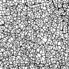 Obraz premium Lattice seamless background.